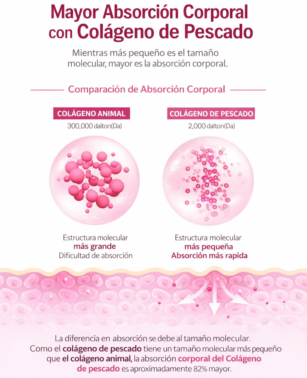 BOTO Collagen C Slow Molecular – Colágeno en Sobres