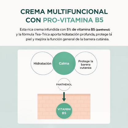 SKIN1004 Crema Centella Madagascar Tea-Trica B5