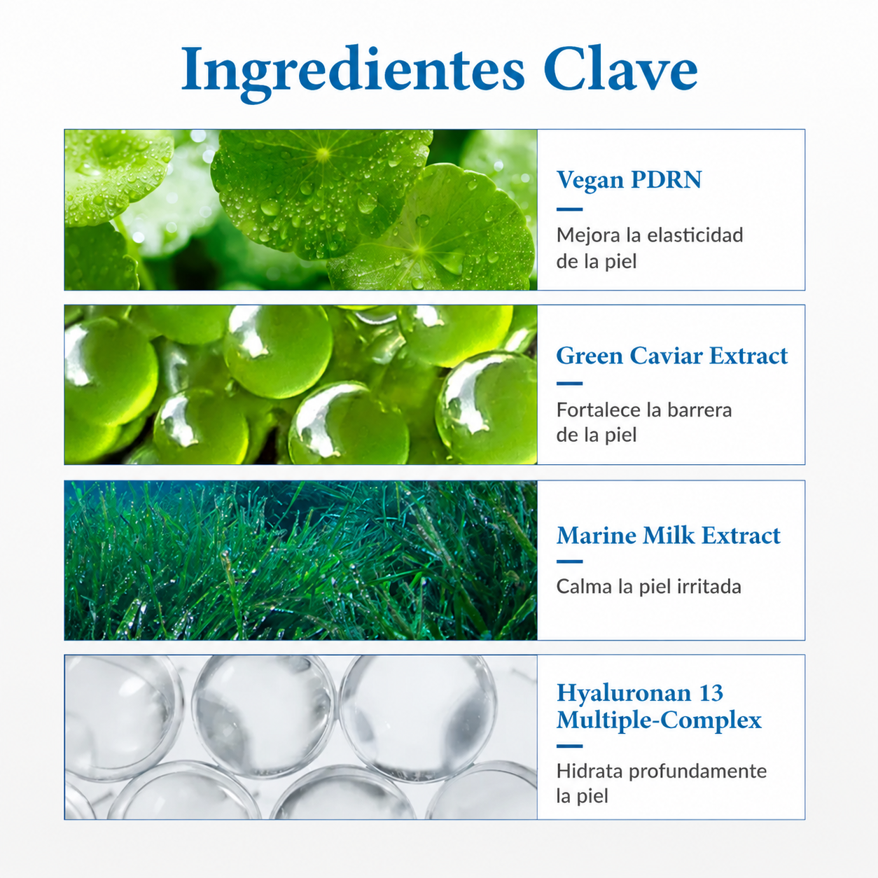 Crema Aqua Marine Water Cream Dr. Althea