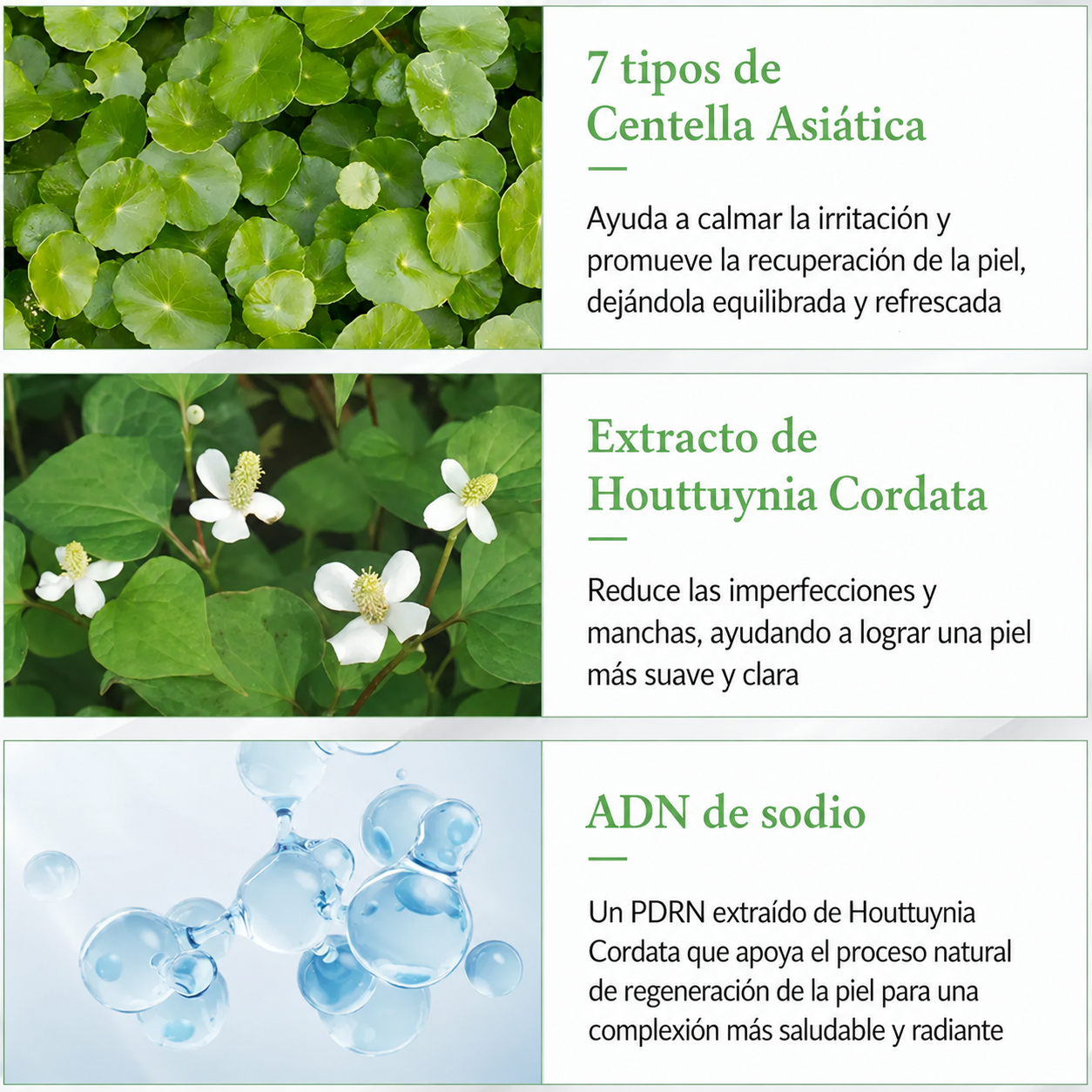 Bloqueador Refrescante con Te Verde Green Tea Dr. Althea