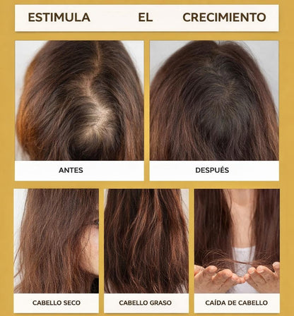 Aceite de cabello Essencia Maca Hoegoa
