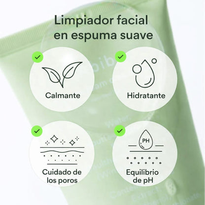 Limpiador Foam Acne Heartleaf Abib
