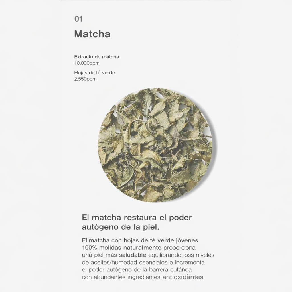 Limpiador Foam Perfect Balance 8:2 Matcha